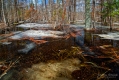 022_Biebrza - kwiecien 2013